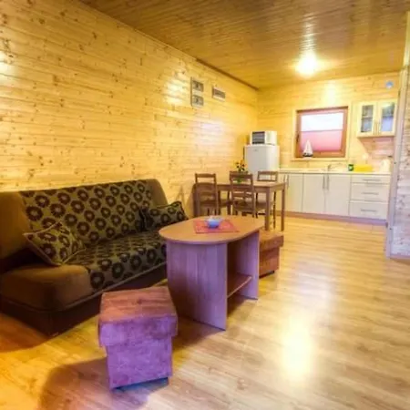 In Mielno Mit Grill By Interhome 米耶伦科